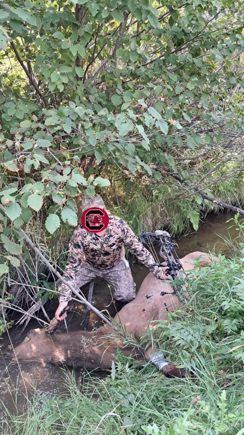 1757302302537.png 1757302302537.png