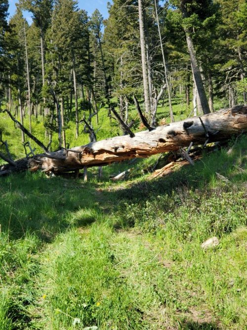 Pony Crk Rd block.jpg