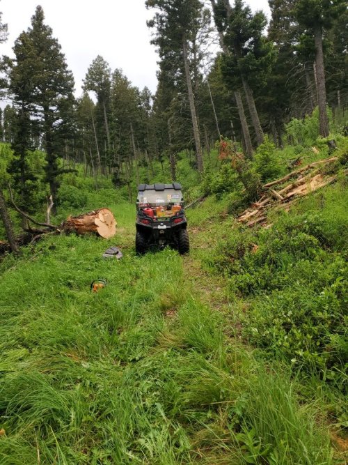 Clsoe call but road cleared!.jpg