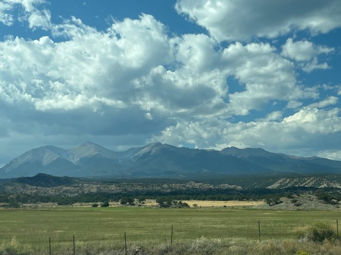 IMG_2425.jpeg IMG_2425.jpeg