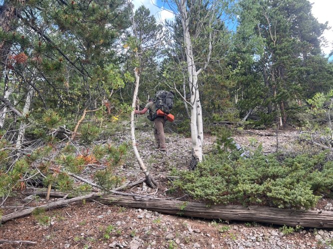 IMG_2428.jpeg IMG_2428.jpeg