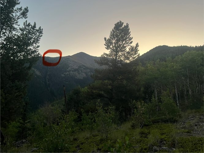 IMG_2442.jpeg IMG_2442.jpeg