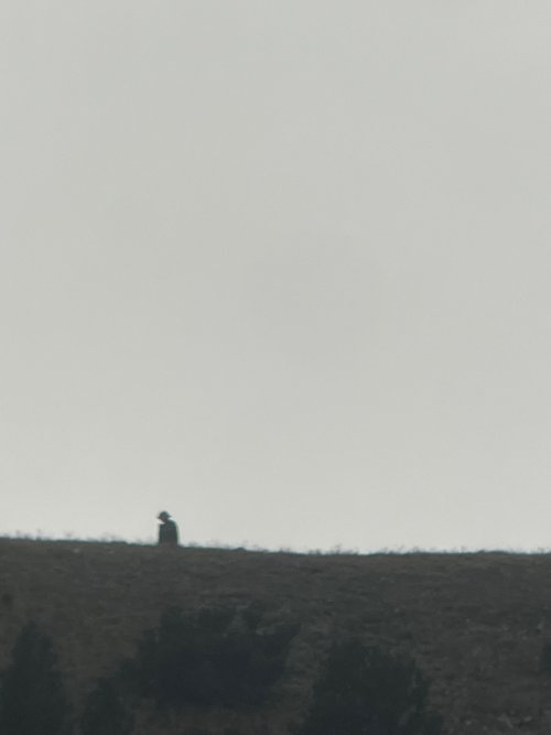 IMG_2435.jpeg IMG_2435.jpeg