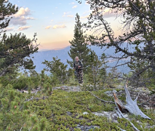 IMG_1042.jpeg IMG_1042.jpeg