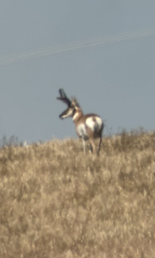 IMG_1922.jpeg IMG_1922.jpeg