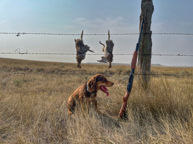 IMG_4898.jpeg IMG_4898.jpeg