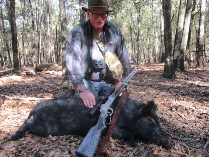 hog 2.JPG hog 2.JPG
