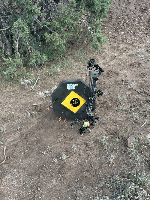 IMG_2386.jpeg IMG_2386.jpeg