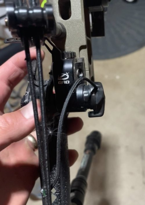 IMG_7936.jpeg IMG_7936.jpeg