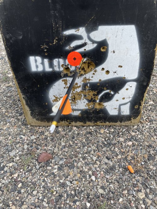 IMG_7931.jpeg IMG_7931.jpeg