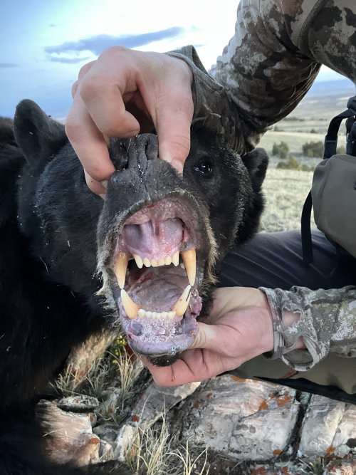 IMG_2836.jpeg IMG_2836.jpeg