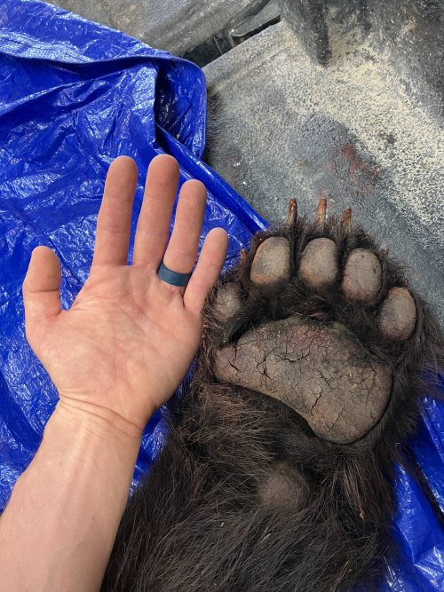 IMG_2883.jpeg IMG_2883.jpeg