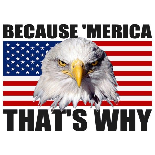 206_1000x1000_Front_Color-NA.jpg