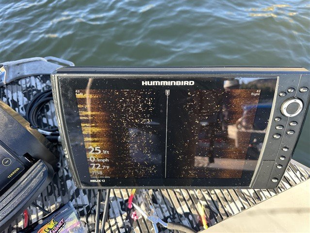 IMG_1515 (Small).JPG