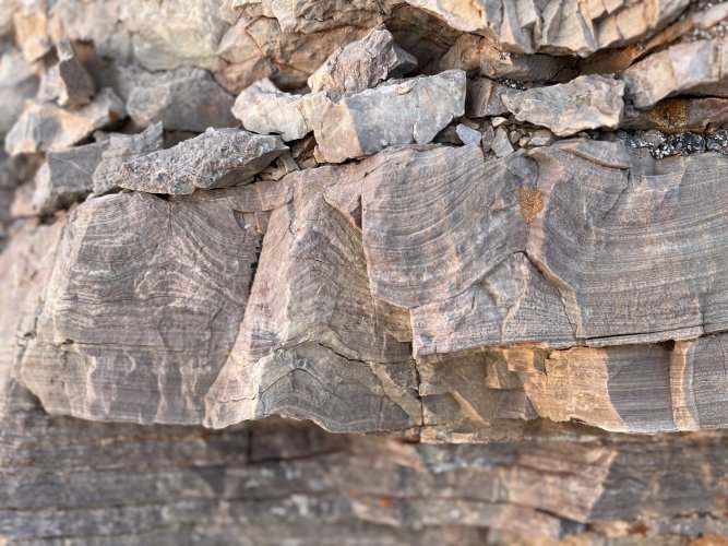 IMG_2807.jpg IMG_2807.jpg