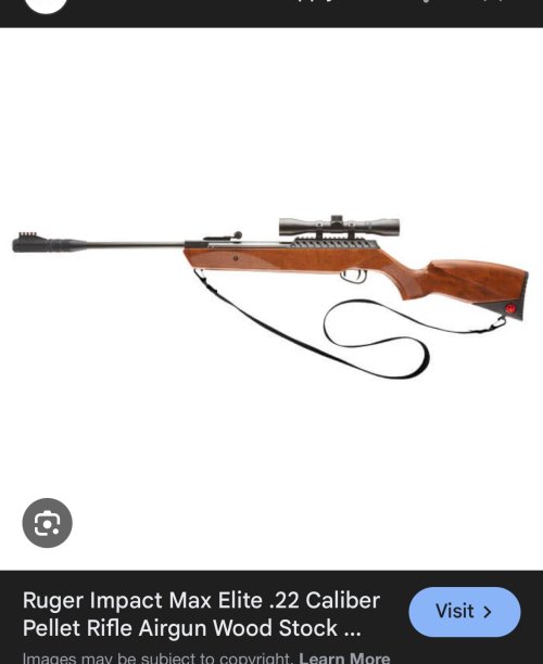 high power air rifle wood stock - Google Search.jpeg high power air rifle wood stock - Google Search.jpeg