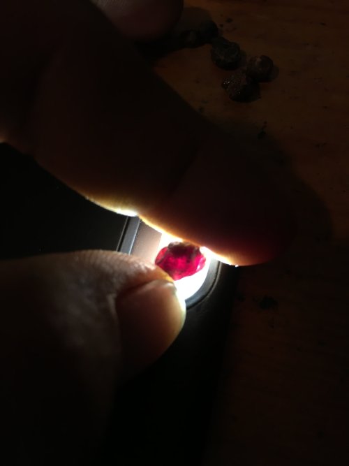 IMG_0159.jpeg
