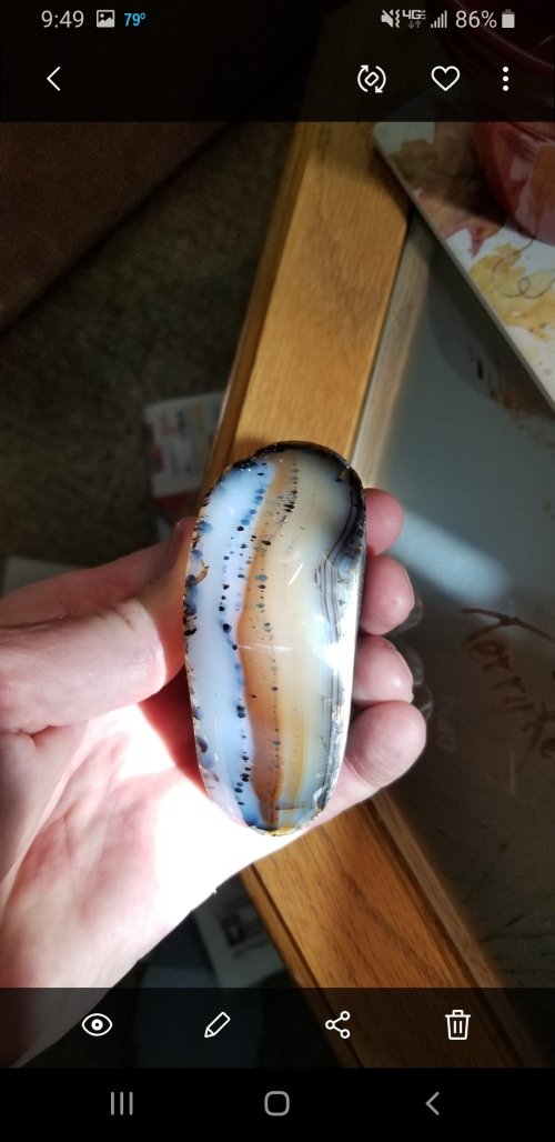 Screenshot_20230805-094952_Gallery.jpg Screenshot_20230805-094952_Gallery.jpg