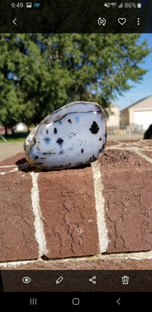 Screenshot_20230805-094943_Gallery.jpg Screenshot_20230805-094943_Gallery.jpg