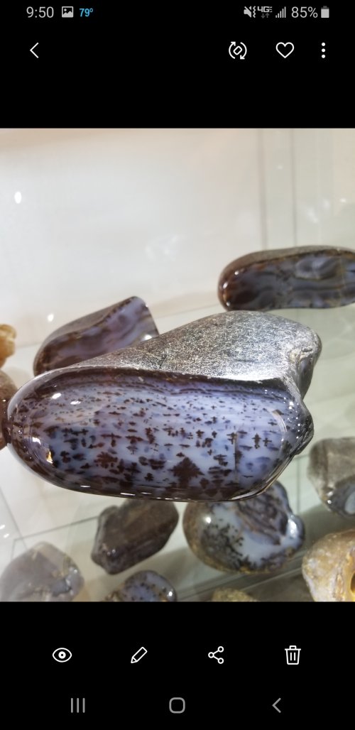 Screenshot_20230805-095059_Gallery.jpg Screenshot_20230805-095059_Gallery.jpg