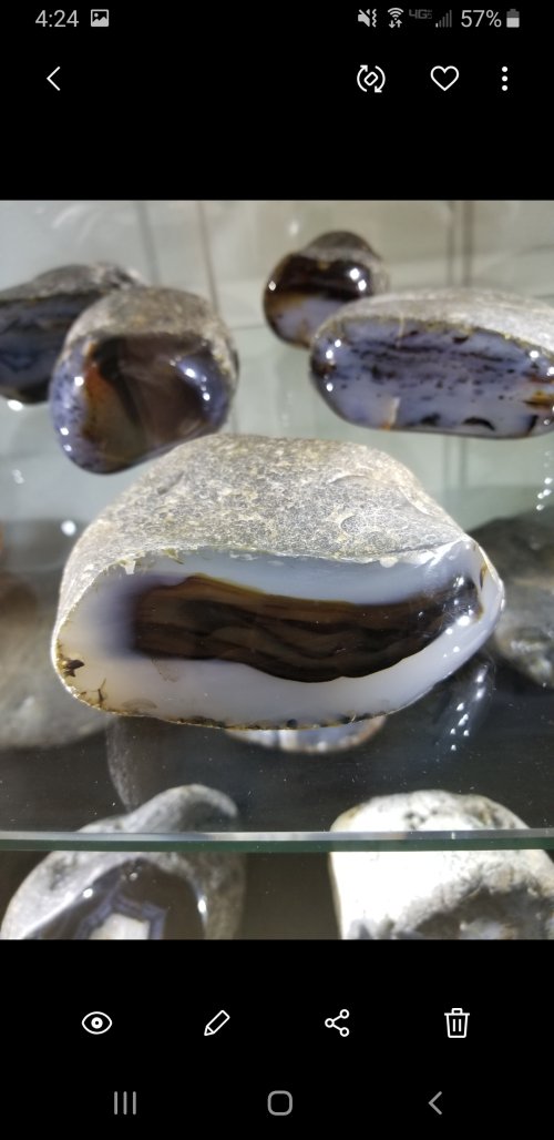 Screenshot_20220115-162412_Gallery.jpg Screenshot_20220115-162412_Gallery.jpg