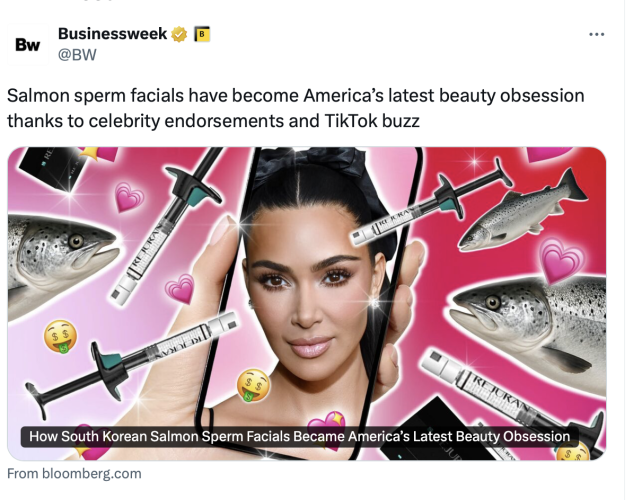 Screenshot 2025-09-13 at 8.17.48 AM.png