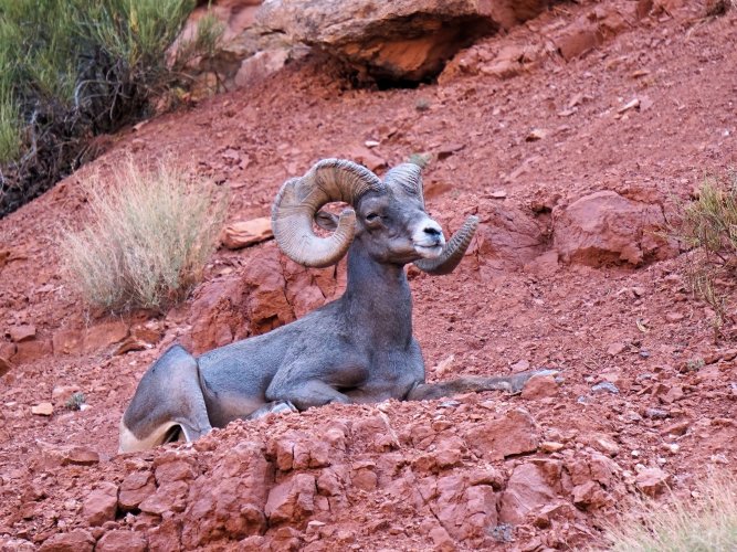 DSC02262-DeNoiseAI-standard-SharpenAI-softnessCrop.jpeg DSC02262-DeNoiseAI-standard-SharpenAI-softnessCrop.jpeg