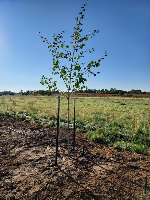 20250914_083618.jpg 20250914_083618.jpg