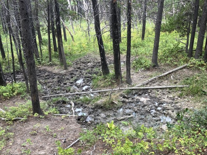 IMG_4597.jpeg IMG_4597.jpeg