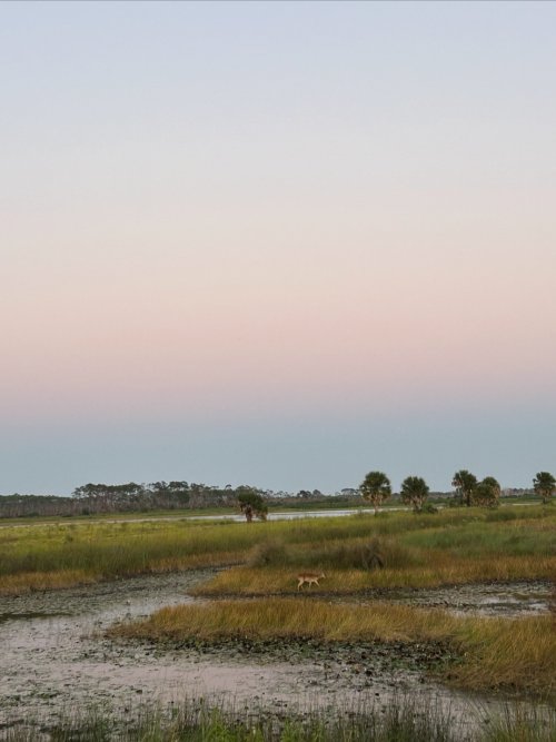 1000000411.jpg 1000000411.jpg