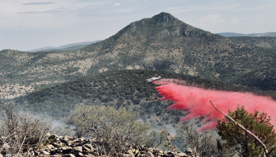 IMG_1121.jpeg IMG_1121.jpeg