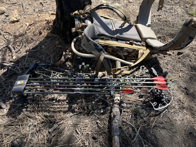 IMG_4360.jpeg IMG_4360.jpeg