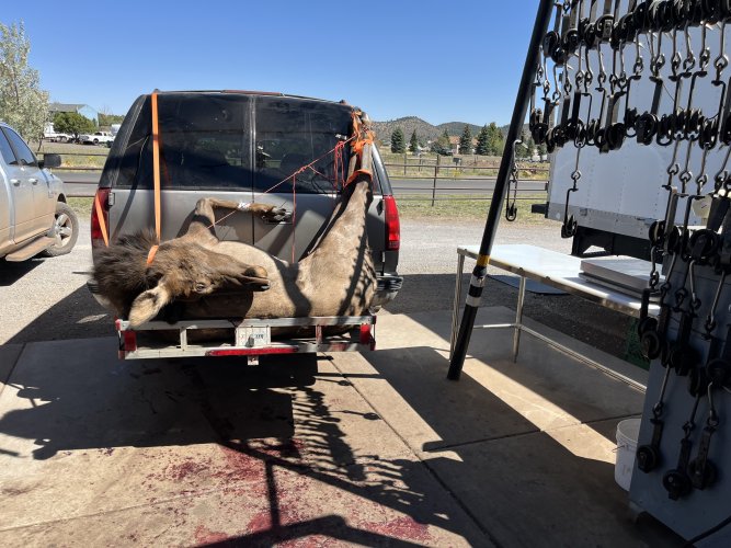 IMG_4361.jpeg IMG_4361.jpeg