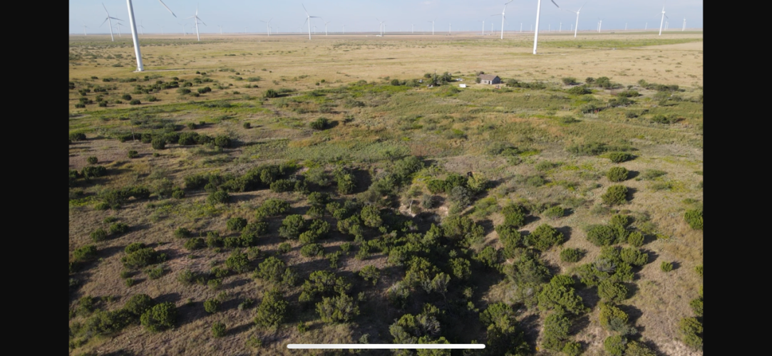 IMG_2659.png IMG_2659.png