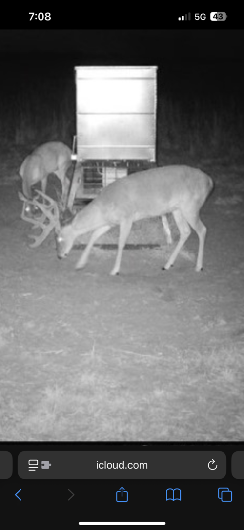 IMG_2644.png IMG_2644.png