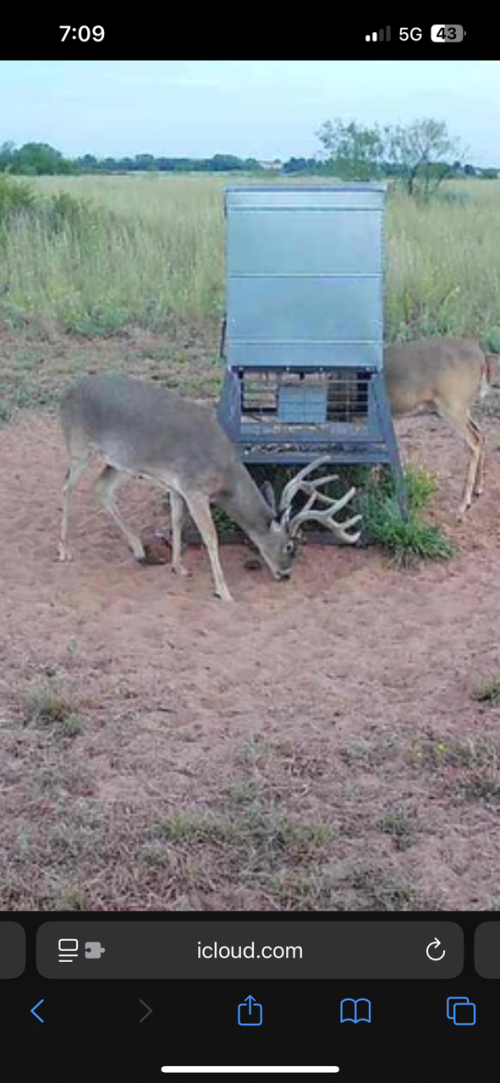 IMG_2645.png IMG_2645.png