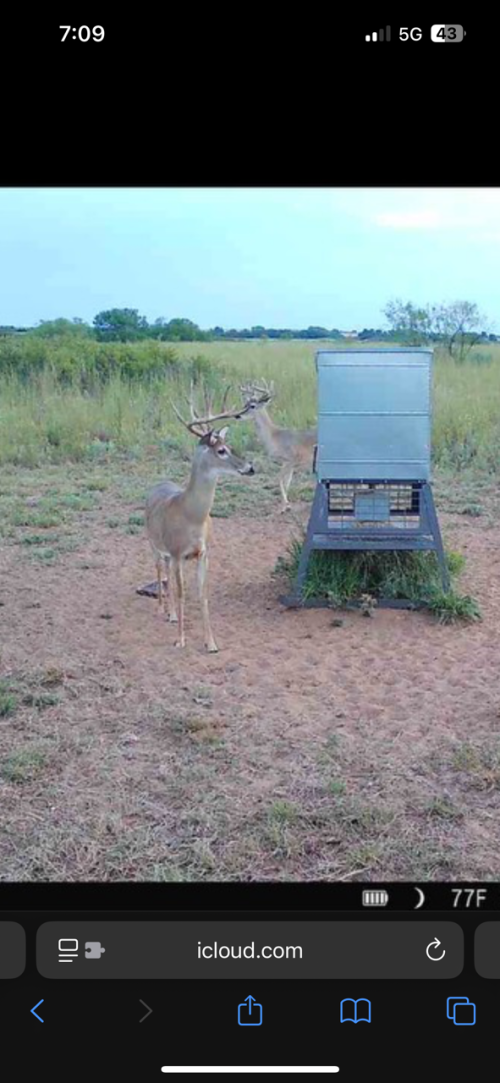 IMG_2646.png IMG_2646.png