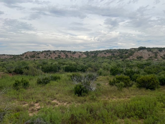 IMG_2640.jpeg IMG_2640.jpeg