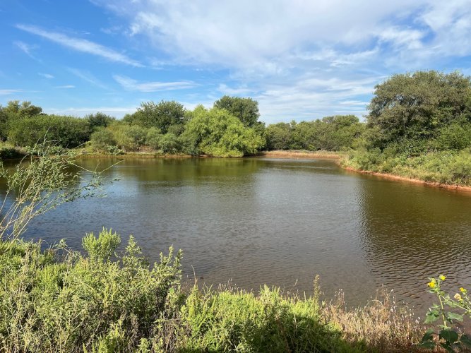 IMG_2616.jpeg IMG_2616.jpeg