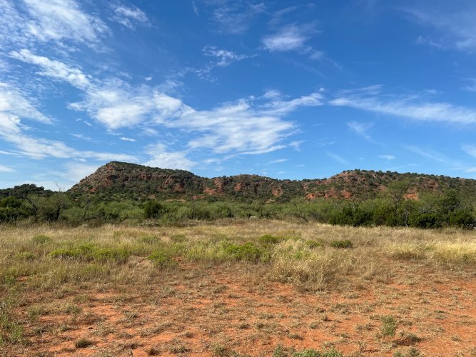 IMG_2617.jpeg IMG_2617.jpeg