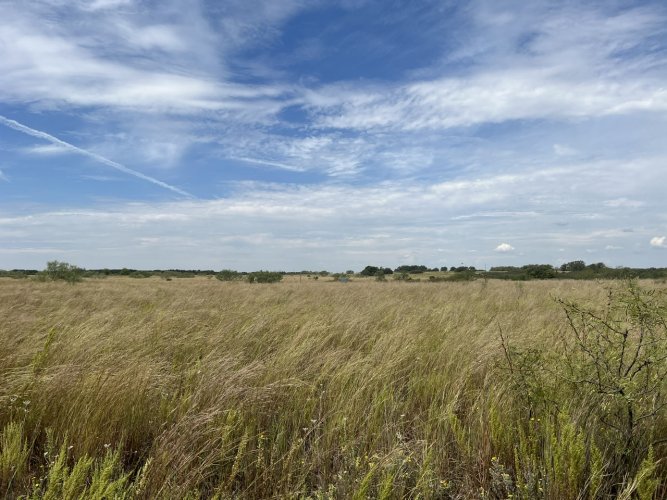 IMG_2621.jpeg IMG_2621.jpeg