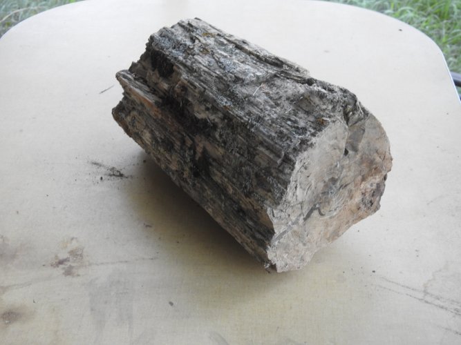 DSCN5371.JPG DSCN5371.JPG