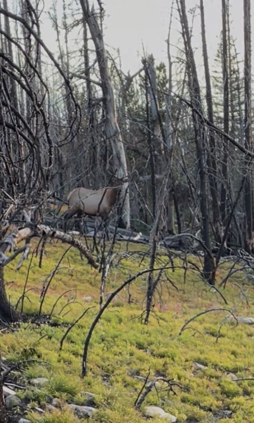 IMG_7925.jpeg IMG_7925.jpeg