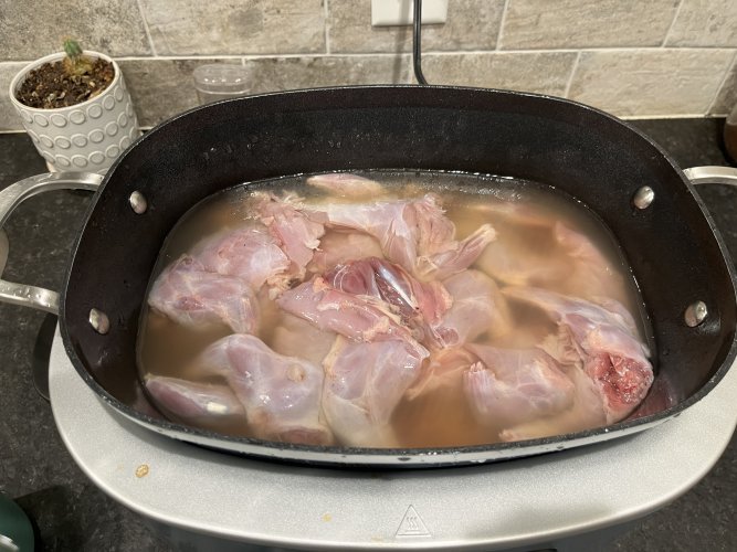 IMG_3941.jpeg IMG_3941.jpeg