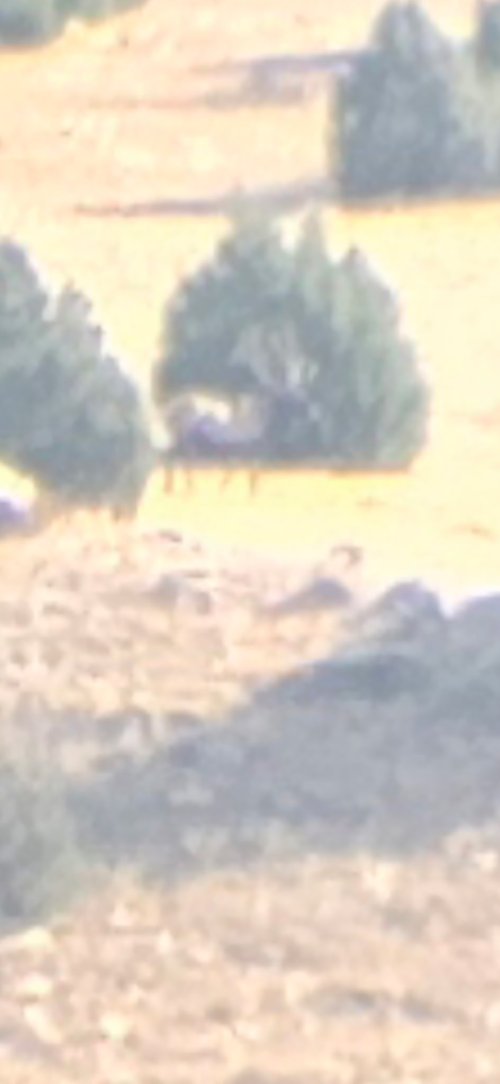 6097869499189075440.jpeg