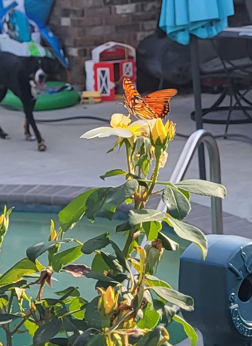 20250915_174515.jpg