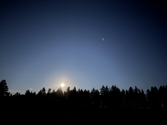 IMG_4089.jpeg IMG_4089.jpeg