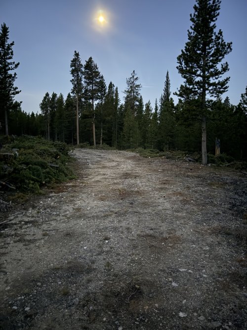 IMG_4095.jpeg IMG_4095.jpeg