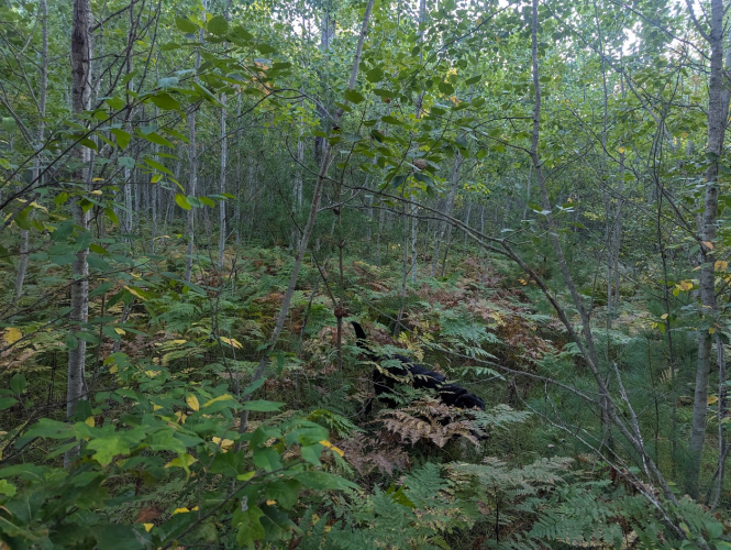 1758031519080.png 1758031519080.png