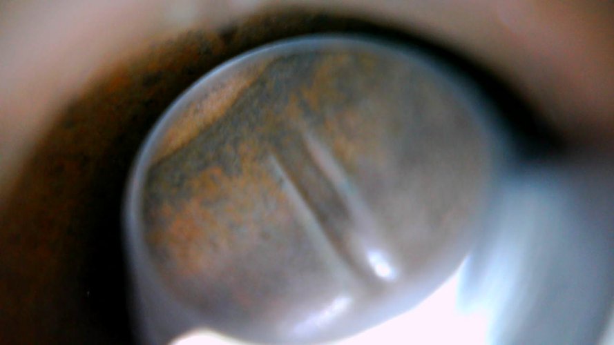 1000010249.jpg 1000010249.jpg